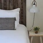 Margaridi Guimarães