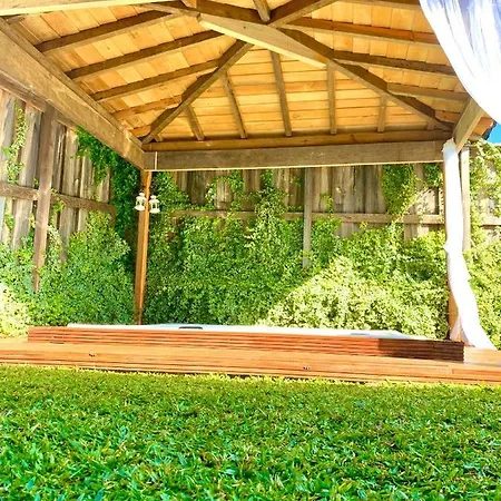 Margaridi Guimarães