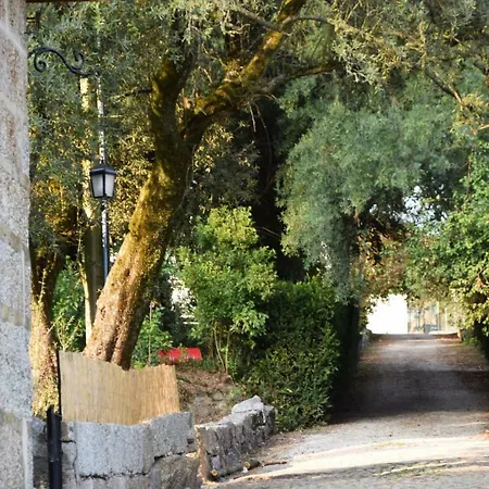 Margaridi Guimarães