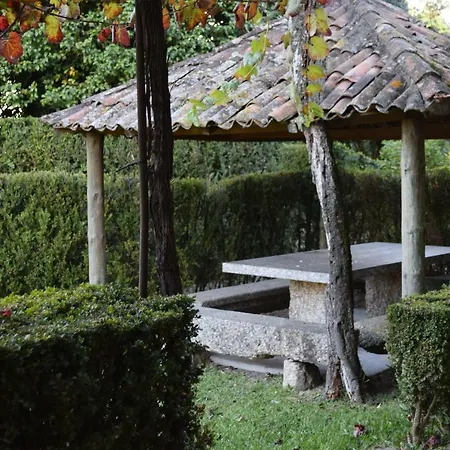 Margaridi * Guimarães