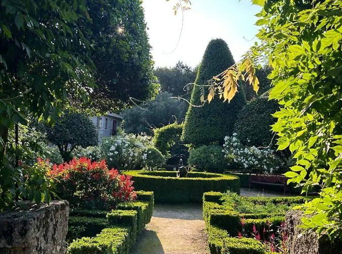 Margaridi Guimarães